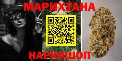 гашик Бийск