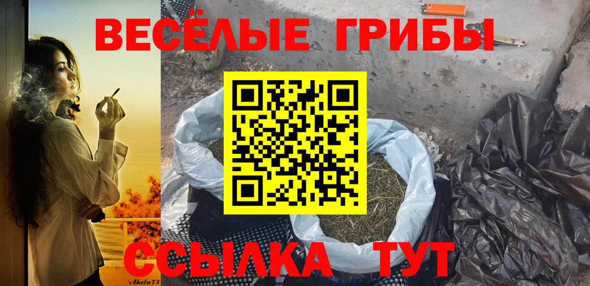 Галлюциногенные грибы ЛСД  Псилоцибиновые грибы MAGIC MUSHROOMS  Беслан 