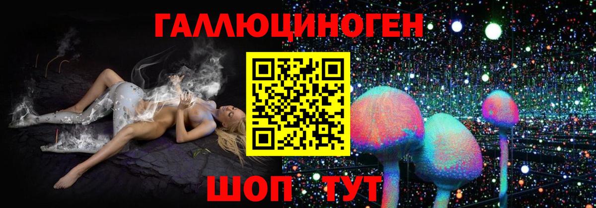 Псилоцибиновые грибы Psilocybine cubensis  Вход с VPN  Беслан  Галлюциногенные грибы прущие грибы 